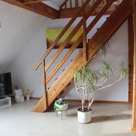 Ferienwohnung Im Galerie-Haus Urbar  المظهر الخارجي الصورة